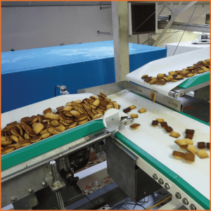 Food Grade PU Belt Conveyor